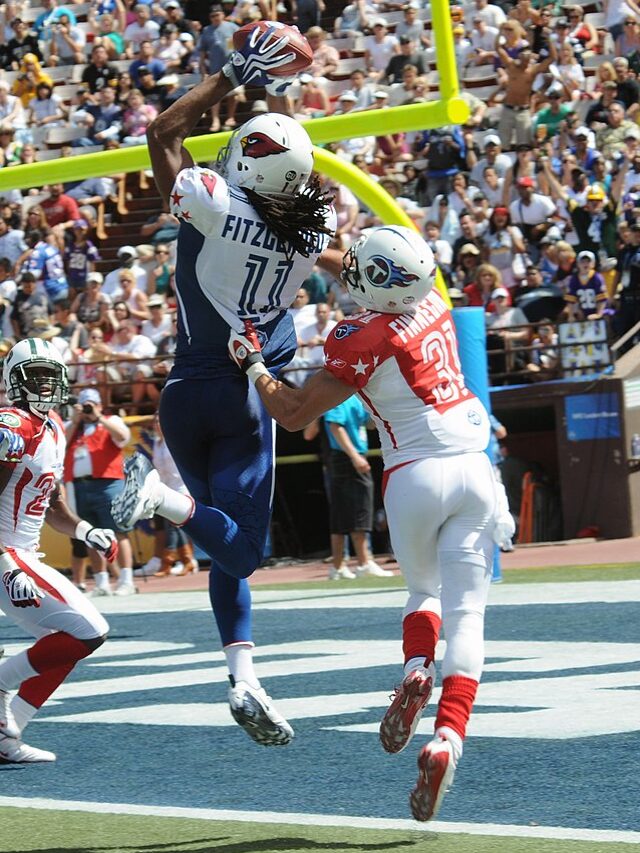 Larry_Fitzgerald_catches_TD_at_2009_Pro_Bowl