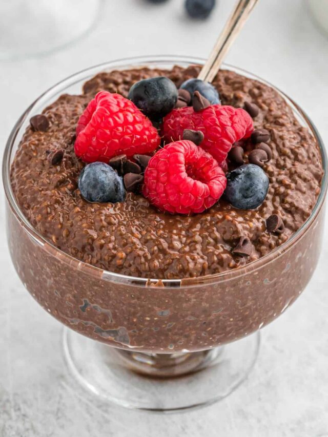 chocolate-chia-pudding-2022-1500R-15-square (1)